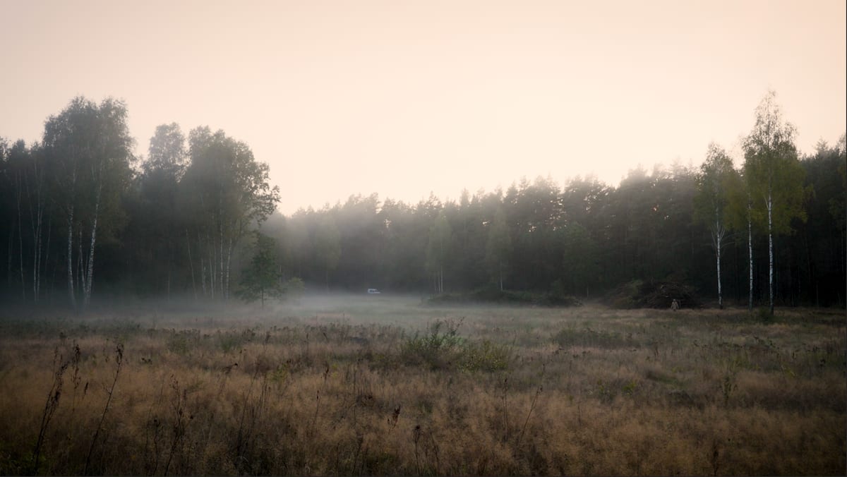 Fog hangs over a meadow at the edge of a forest at dawn — a still from Nowhere To Go.